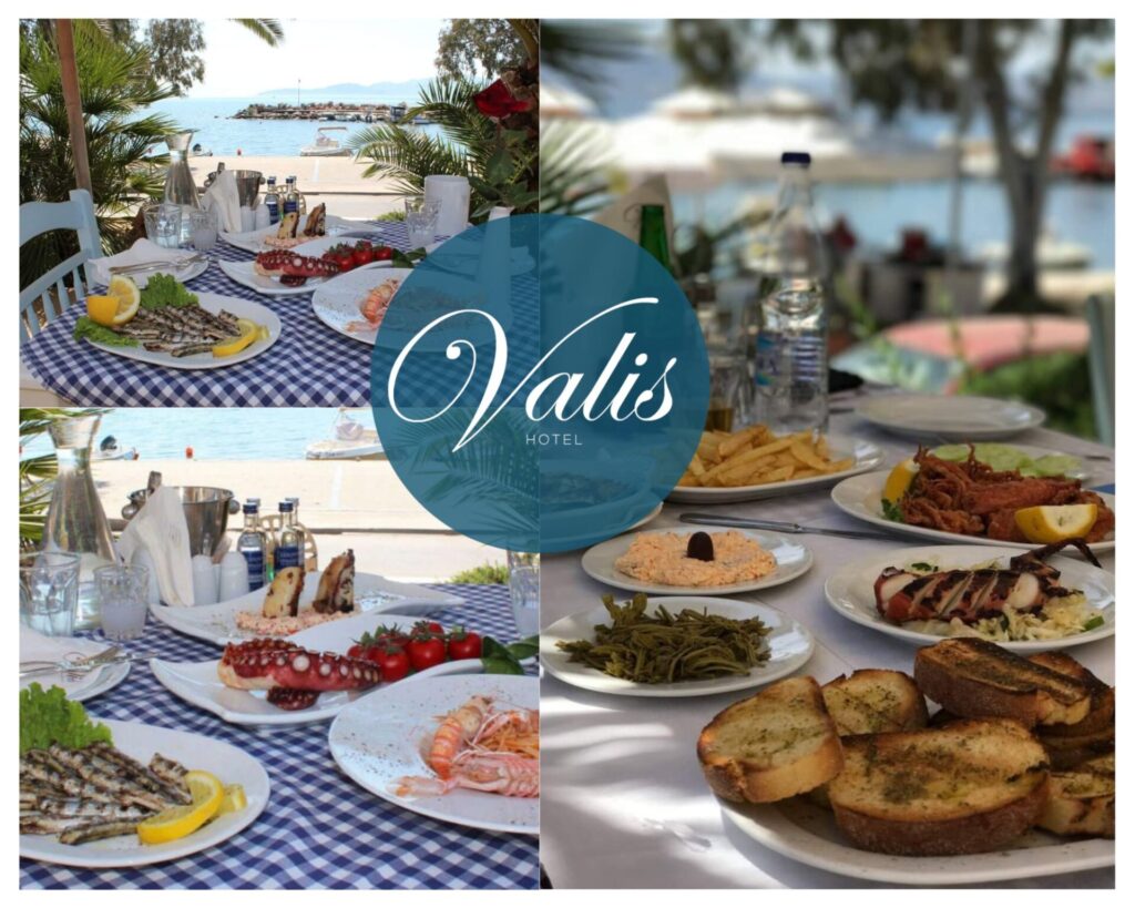 Το Τσιπουράδικο του Valis